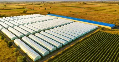 Grundstück in Baghdati — Vani — Dapnari, Georgien