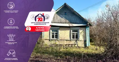 Haus in Cyzevicki sielski Saviet, Belarus