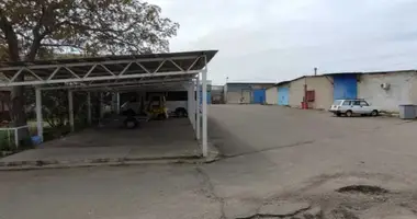 Propriété commerciale 2 400 m² dans Avanhard, Ukraine