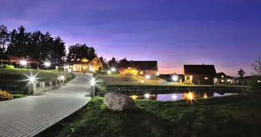 Haus in Sena Pasamine, Litauen