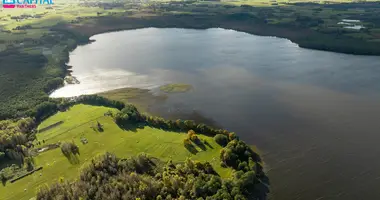 Terrain dans Strazdaliai, Lituanie