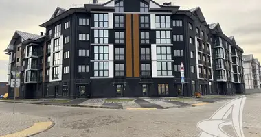 Shop 44 m² in Muchaviecki sielski Saviet, Belarus