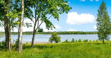 Działka w Sliziskiai, Litwa