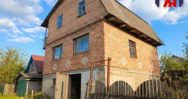 House in Piatryskauski sielski Saviet, Belarus
