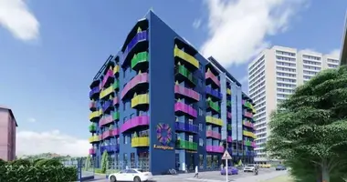 1 room apartment in Lymanka, Ukraine