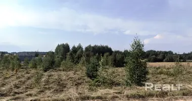 Działka w Putcynski sielski Saviet, Białoruś