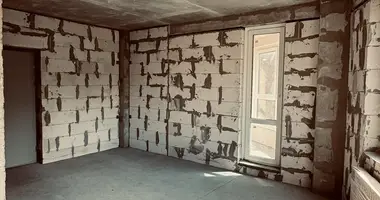 1 room apartment in Minsk, Belarus