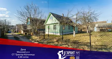 House in Papiarnianski sielski Saviet, Belarus