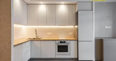 3 room apartment in Minsk, Belarus