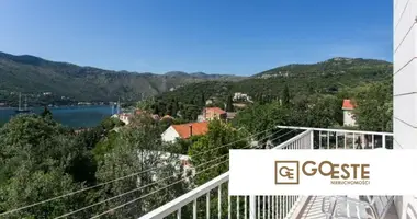Maison 5 chambres dans Opcina Dezanovac, Croatie
