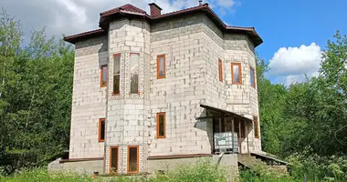 House in Rakauski sielski Saviet, Belarus