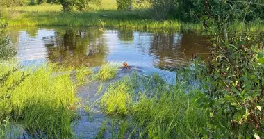 Участок земли в Хотенчицкий сельский Совет, Беларусь