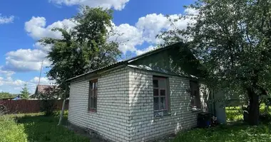 House in Miasocki sielski Saviet, Belarus