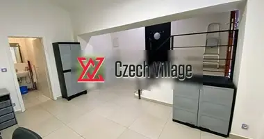 Mieszkanie w Miasto Stołeczne Praga, Czechy