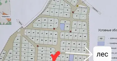 Участок земли в Острошицкий сельский Совет, Беларусь