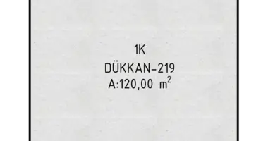 Mieszkanie w Aksu, Turcja