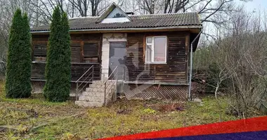 House in Kalodziscanski sielski Saviet, Belarus
