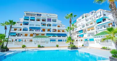 1 bedroom apartment in La Mata, Spain