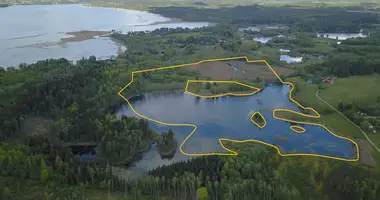 Terrain dans Maneiciai, Lituanie