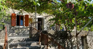 Haus 2 Schlafzimmer in Strugari, Montenegro