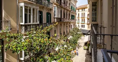 2 bedroom apartment in Malaga, Spain