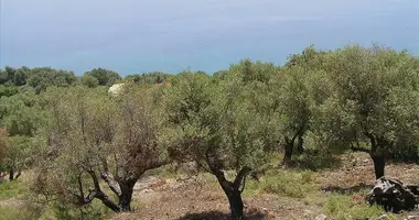 Terrain dans Lefkada Municipality, Grèce