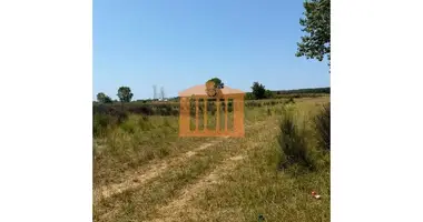 Plot of land in Bashkia Durres, Albania