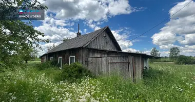 Дом в Vidugiris, Литва