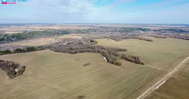 Участок земли в Расейняй, Литва