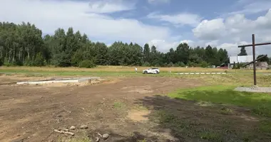Plot of land in Rakauski sielski Saviet, Belarus