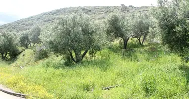 Terrain dans Municipality of Sitia, Grèce