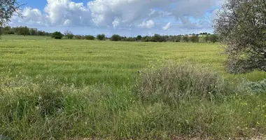 Mieszkanie w Anarita, Cypr