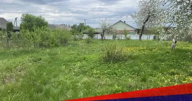 House in Dzyarzhynsk, Belarus