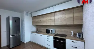 2 bedroom apartment in Minsk, Belarus