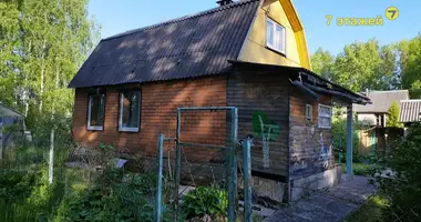 House in Piarezyrski sielski Saviet, Belarus