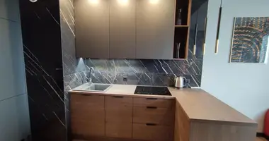 2 room apartment in Krakow, Poland