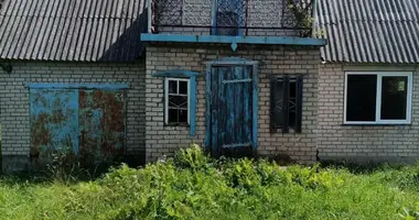 House in Cimkavicki sielski Saviet, Belarus