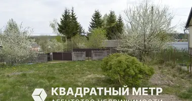 Terrain dans Bialarucki sielski Saviet, Bélarus