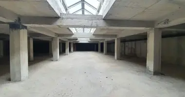 Propiedad comercial en Podgorica, Montenegro