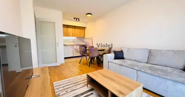1 bedroom apartment in Podgorica, Montenegro