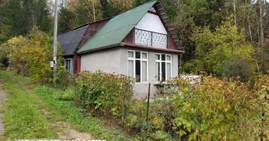 Dom w Astrosycki sielski Saviet, Białoruś