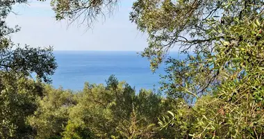 Terrain dans Saint-Matthieu, Grèce