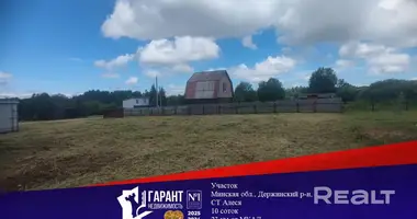 Działka w Dziamidavicki sielski Saviet, Białoruś