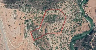 Wohnung in Monagri, Zypern