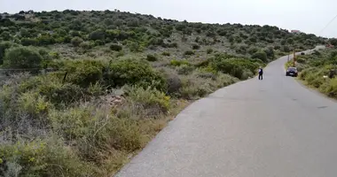Grundstück in Provinz Agios Nikolaos, Griechenland
