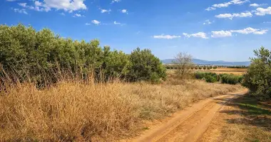 Plot of land in Nea Triglia, Greece