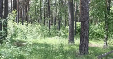 Plot of land in Riga, Latvia