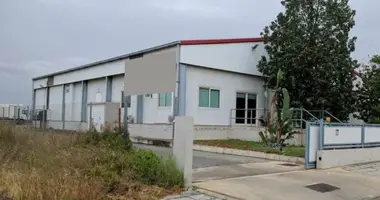 Magazyn 626 m² w Ergates, Cypr