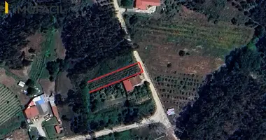 Działka w Oliveira do Bairro, Portugalia