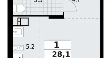 Wohnung 1 zimmer in Krasnoje Selo, Russland